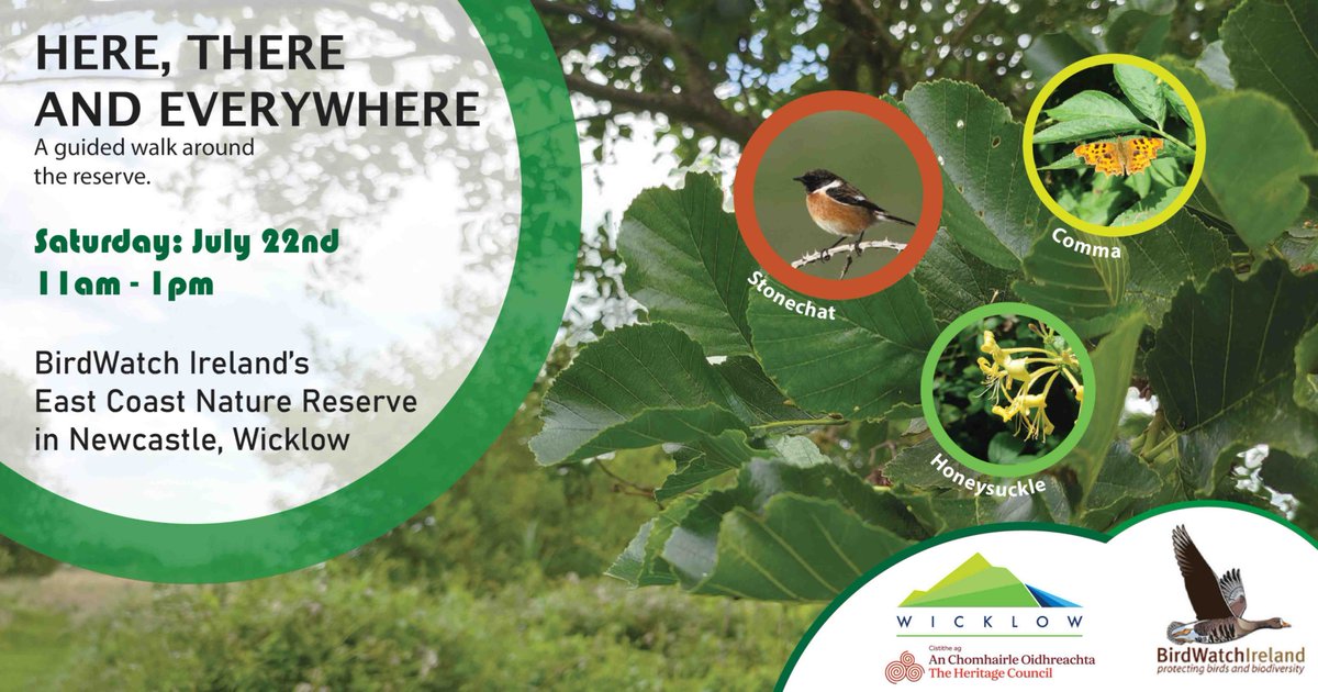 BirdWatch Ireland will be hosting an event funded by the Heritage Office of <a href="/wicklowcoco/">Wicklow County Council</a> and The Heritage Council as an action of the County Heritage Plan Council.
All are welcome to join for a guided walk around the East Coast Nature Reserve in Newcastle, #Wicklow