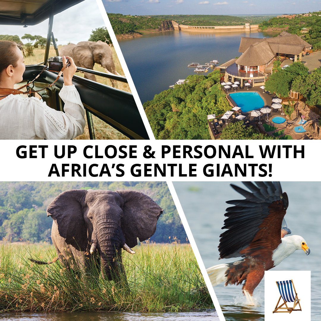 JoziniTL's tweet photo. Just a short drive from #JoziniTigerLodge lies Tembe Elephant Park & Ndumu Game Reserve, making for a day out that everyone will love! ๐
#JoziniLake
#gamereserves https://t.co/oOE1m6Wc6k