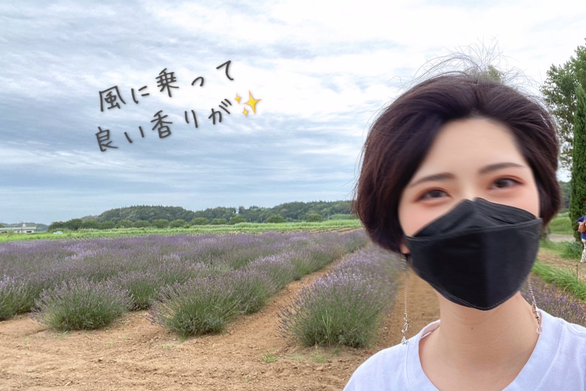 🌿佐倉ラベンダーランド
【ラベンダー祭り】
入場料無料🤍
ラベンダーを使った多数のオリジナル商品が購入できます
ソフトクリームやお茶などラベンダーを使ったフードも豊富です🫖

残念ながら今年のラベンダー祭りはもう終了ですが、
期間外もワークショップなどイベントがあるみたいです👀✨
