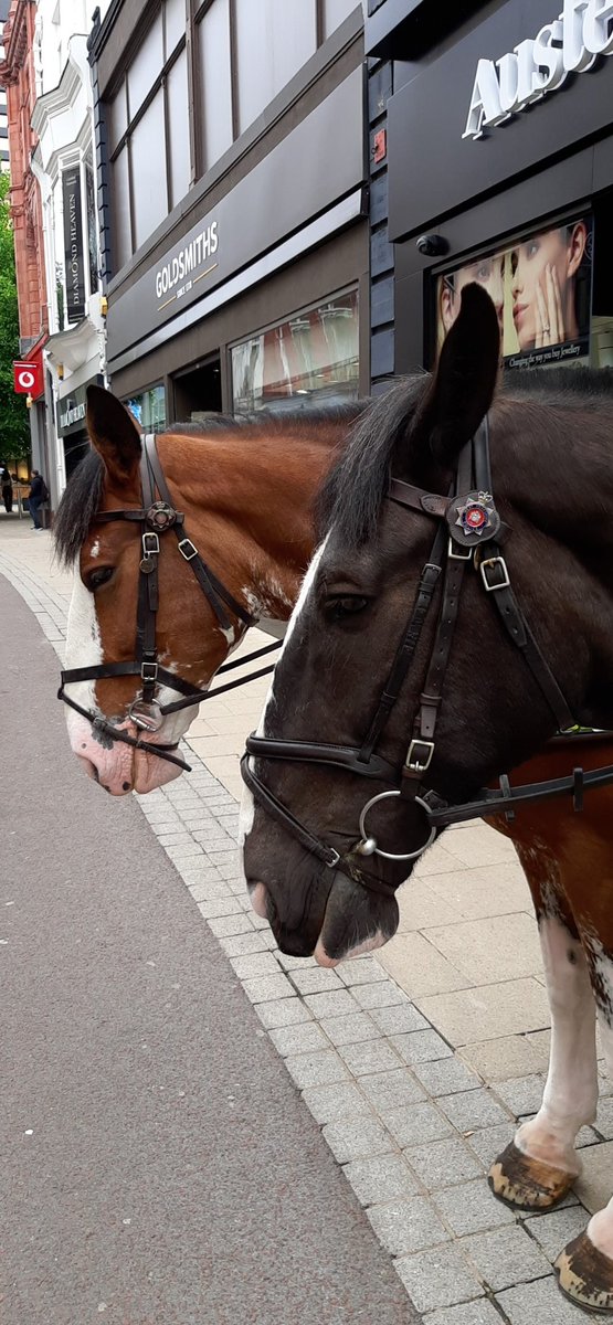 #ProjectServator are deploying in Leeds today alongside the mounted department. Our deployment can happen anywhere. If you see one taking place, please come say hello and we can explain how we all have a part to play in keeping each other safe #TogetherWeveGotItCovered