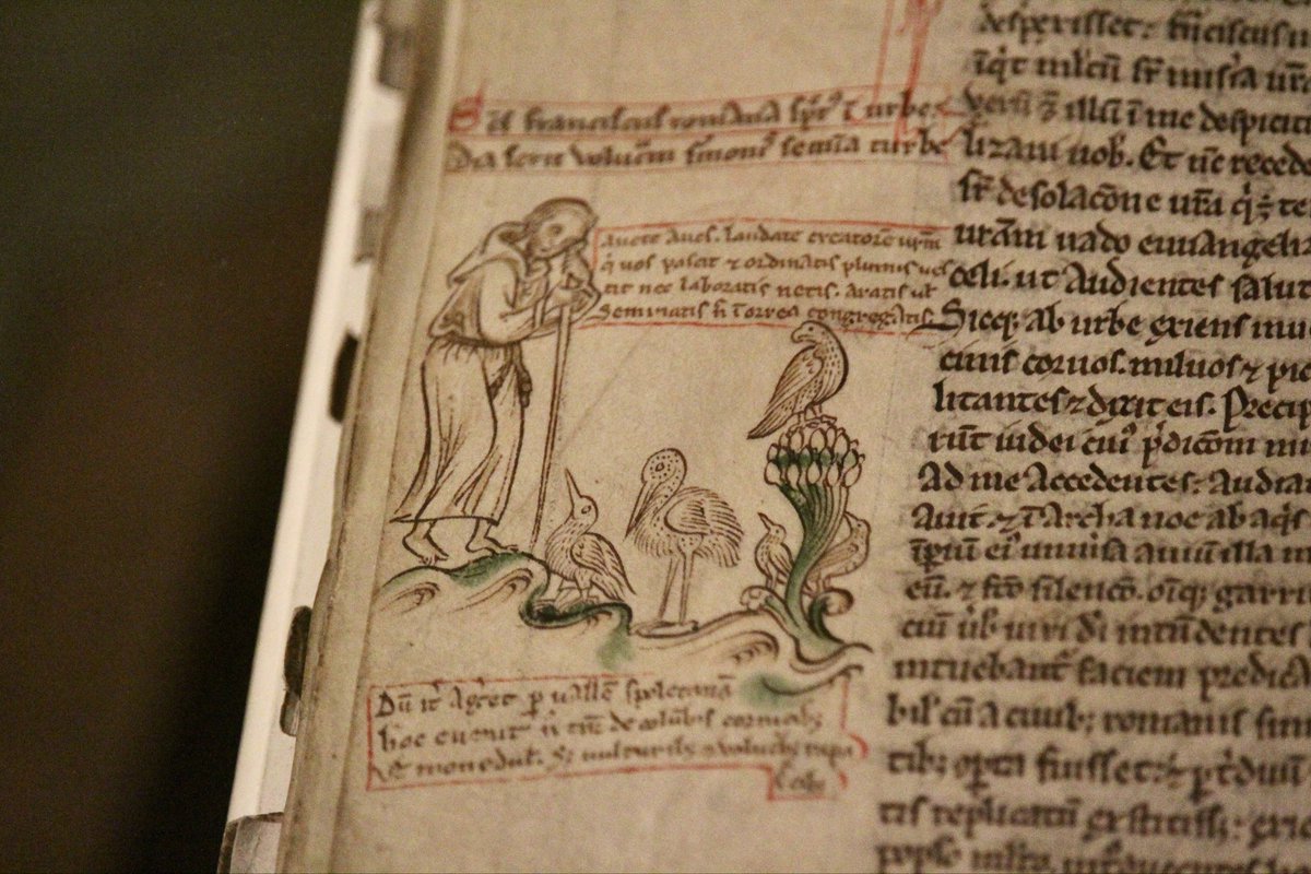 #MedievalManuscripts at the St Francis of Assisi exhibition @NationalGallery. These intricate illustrations are from the Chronica Maiora II by Matthew Paris, a Benedictine monk from St Albans with an abundant output. The line-work is incredibly fine, a privilege to see in person!