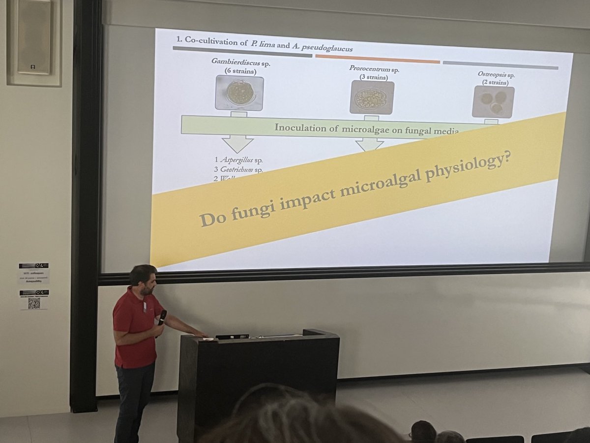 SamBertrand44's tweet photo. Nice presentation by Olivier Berry from #ISOMer #MarineMixrobiomeMetabolites at ⁦@APharmacognosie⁩ about deciphering the mechanisms of interaction between #Prorocentrum lima and #Aspergillus pseudoglaucus https://t.co/4XLf6AMWyO