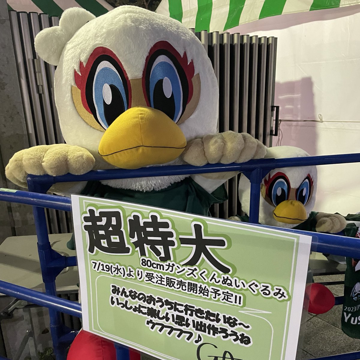 高速配送 松本山雅ガンズ君他限定品 スポーツ - greentourmagazine.com