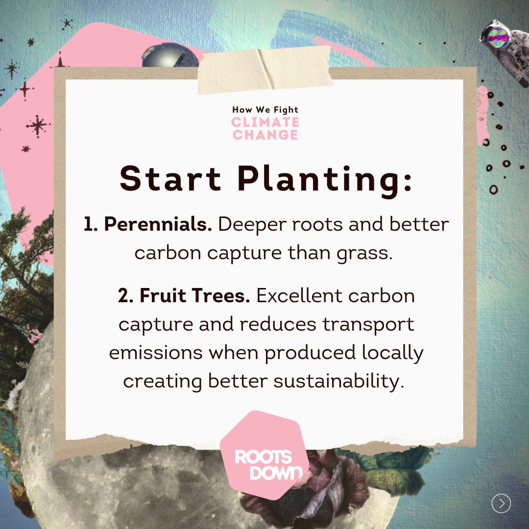 Roots Down tweet media