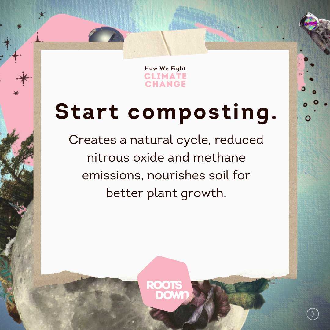 Roots Down tweet media