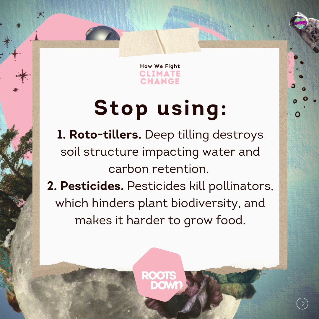 Roots Down tweet media