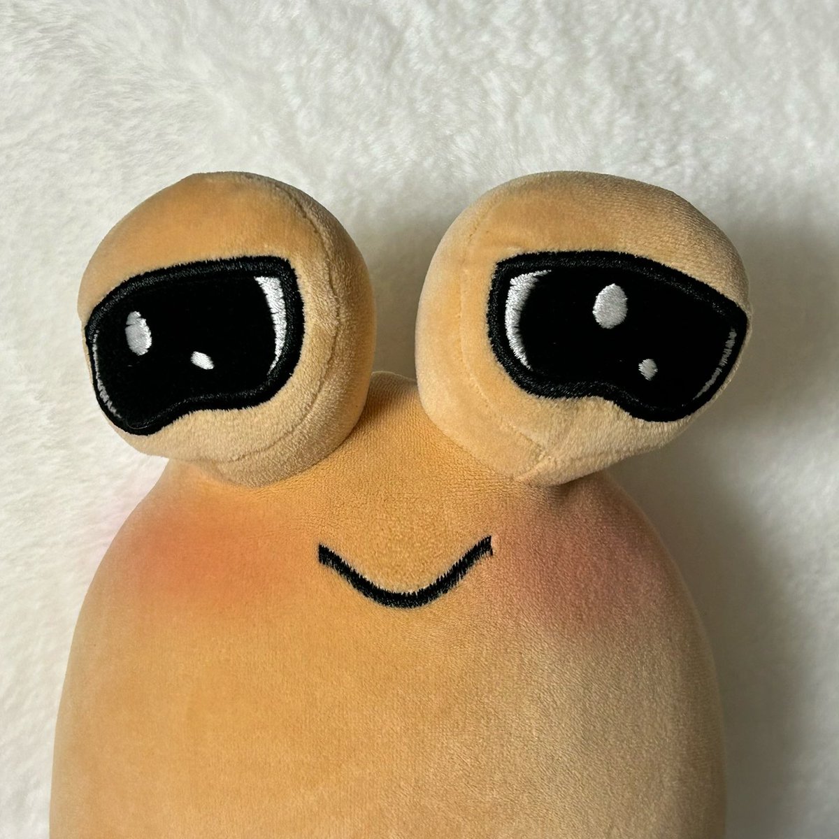Projectboomer1's tweet photo. #NewProfilePic https://t.co/vqmiKQ1OJd