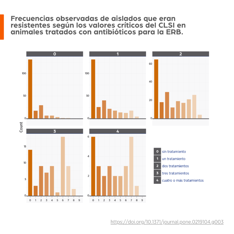 SentidoVacuno's tweet photo. Los datos 🗂️ indican que la administración de dos o más antibióticos 💊 como tratamiento de la enfermedad respiratoria bovina aumenta la probabilidad de aislar una bacteria resistente. #ERB #URA https://t.co/UZ2NWJcb4M
