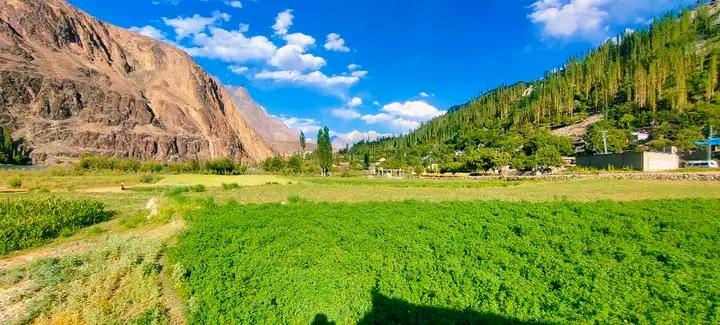 Ijlal_Gilgiti's tweet photo. سب پھول ہے ایک گلدان کے ۔۔ ہم گلگت بلتستان کے ہیں 💚🇵🇰💚
#beautifulPakistan 
#BeautifulGilgitBaltistan 🇵🇰 https://t.co/soerAcDsEl