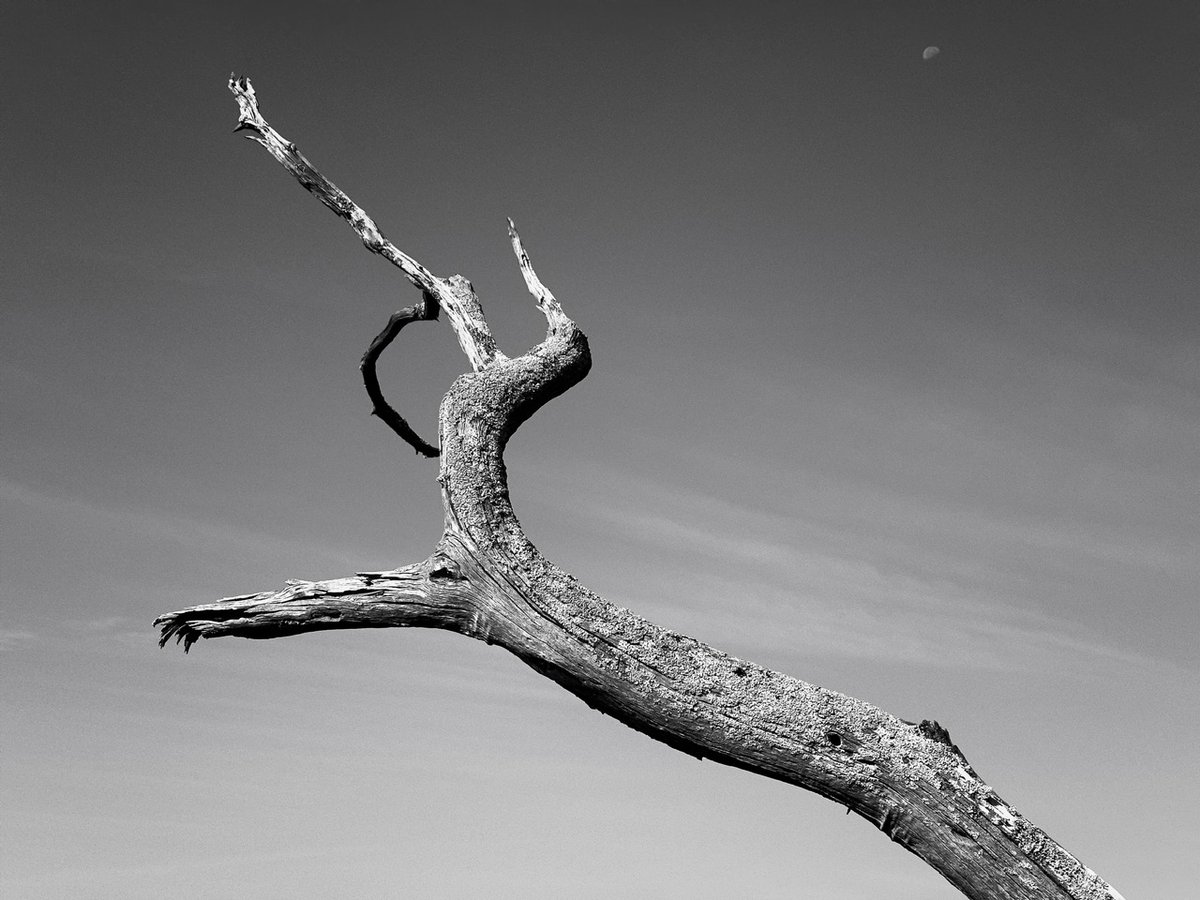 😥  Hot hot heat, a packed committee meeting, and a typically Richmond concert - mailchi.mp/gmrva/good-mor…