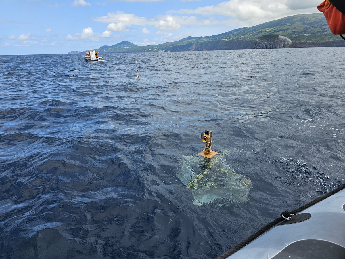 #marinerobotics #summerschool DAY 6:Sea time! Students embarked on a 1-day journey at sea to deploy the drifters they build &amp; test other sensors. They will be following their drifters online and using models to predict drifters' locations. A special guest joined the activity🐬