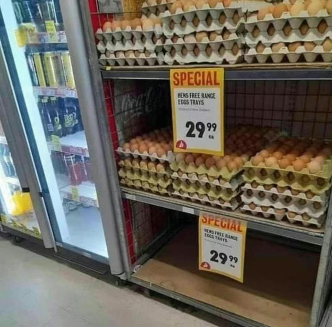 人类中心主义，地球万物终灭亡，唯人类发展多行星物种，才能延续生物体宇宙生存，提升🐔生存权利蛋价暴涨，地球资源有限都应配置在太空殖民计划