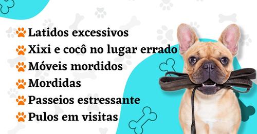 jbdoparana's tweet photo. #Brasil 
https://t.co/fSKl7C11Xp
Adestramento Canino em Casa https://t.co/BCyWc4N1jl