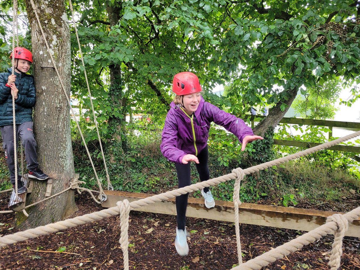 k normansell tweet media