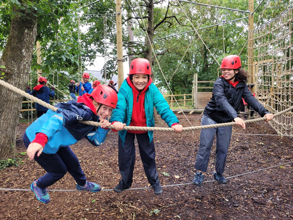 k normansell tweet media