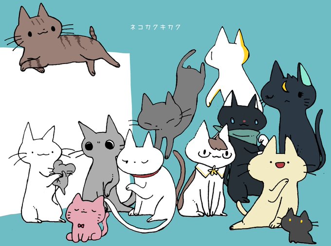 「黒猫 白い猫」のTwitter画像/イラスト(新着)｜2ページ目