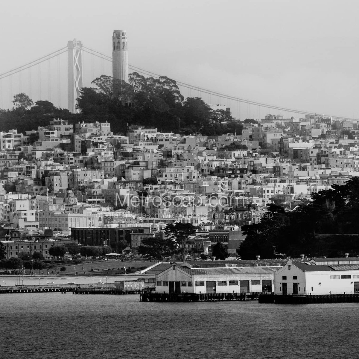 San Francisco photography Black & White: Telegraph Hill Coit Tower and the Bay Bridge #sanfrancisco #sf #bayarea #goldengatebridge #sanfran #california #onlyinsf #BlackWhite | metroscap.com/oversized-san-…
