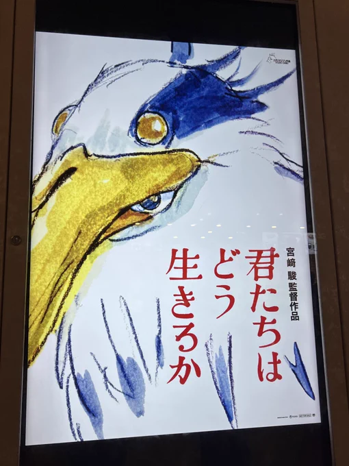 さぁ〜ジブるぞ〜っ!!
