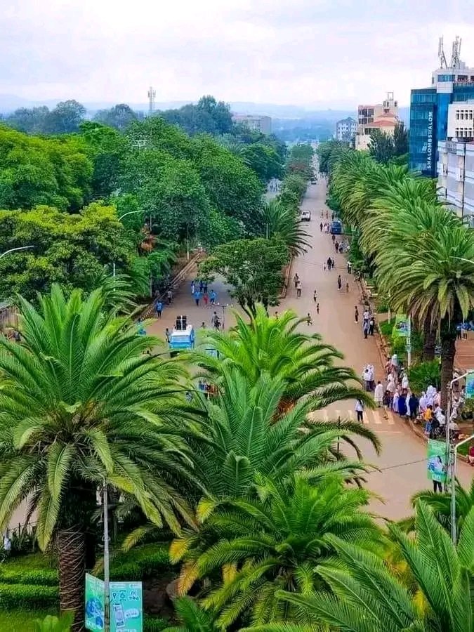 Amhara_GCAO's tweet photo. #VISIT THE CITY OF PALM TREES,#BAHIR DAR,#AMHARA /ETHIOPIA https://t.co/wC01pXXzvl