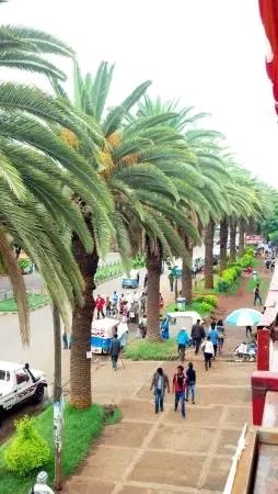 Amhara_GCAO's tweet photo. #VISIT THE CITY OF PALM TREES,#BAHIR DAR,#AMHARA /ETHIOPIA https://t.co/wC01pXXzvl