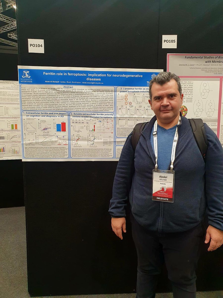 Abdel Ali Belaidi (@abdelbelaidi) on Twitter photo Happy for the opportunity to share our work on ferritin and ferroptosis in Alzheimer's disease <a href="/TheFlorey/">The Florey</a> at ICBIC 2023 in Adelaide #ICBIC #Adelaide Happy for the opportunity to share our work on ferritin and ferroptosis in Alzheimer's disease <a href="/TheFlorey/">The Florey</a> at ICBIC 2023 in Adelaide #ICBIC #Adelaide