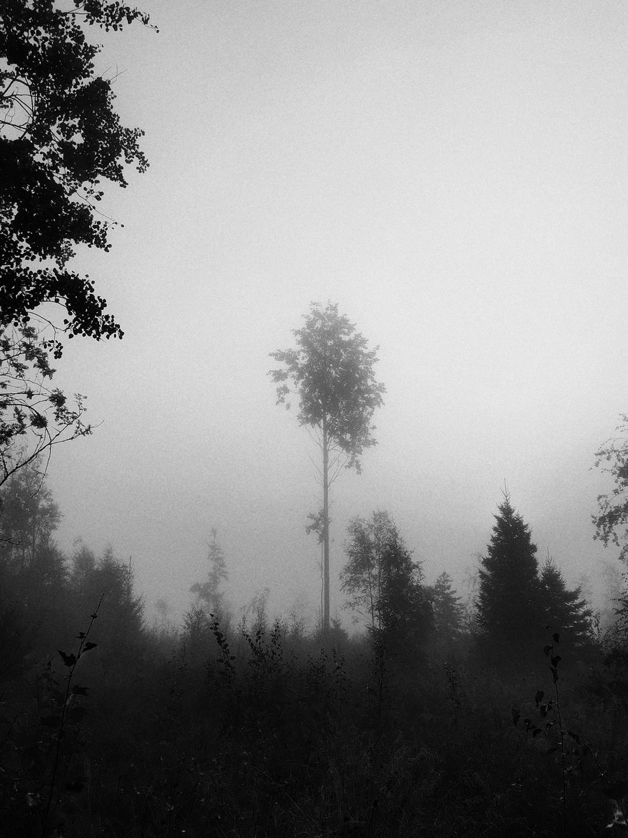 janisphotos's tweet photo. Hi!! 👋

Share your Black and White photos below.⚫⚪

Please retweet this post to get more exposure.🔄

Thank you and remember to enjoy your days!😀

#Photography #PhotographyIsArt #blackandwhite https://t.co/iNHySqa0nG