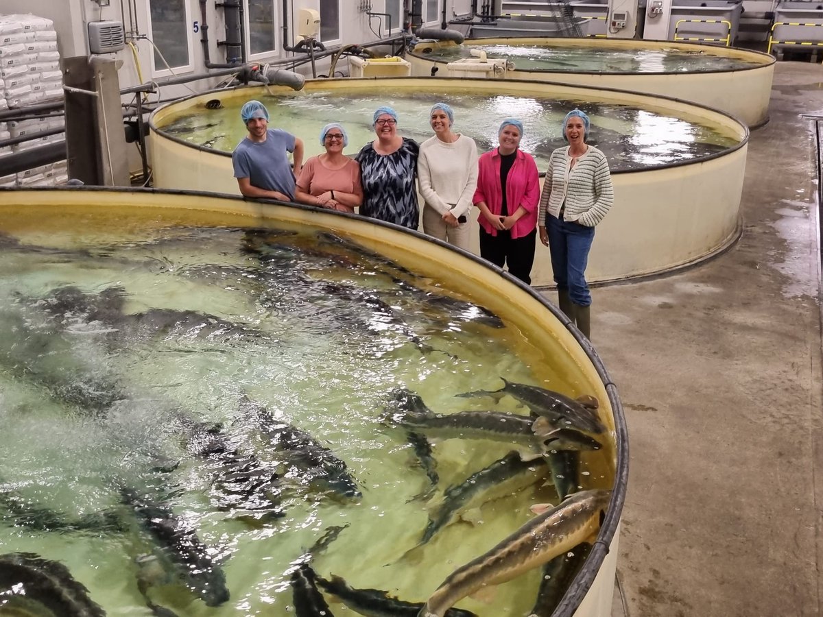 KingsFineFood's tweet photo. Royal Belgian Caviar Visit – King’s Fine Food and a group of guests, visit @RoyalBelgianCav for an insight into their traditionally produced caviar, which is exclusively distributed by King’s in the UK
https://t.co/0jeCuYs54E
#caviar #kingsfinefood #traditionallyproduced https://t.co/hSmRkgchkU