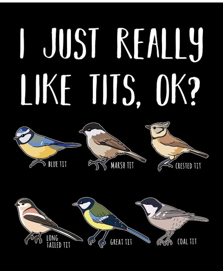 Scorpio_Karen18's tweet photo. I really do. Don’t judge me. 

May you have a perky and brilliant Tuesday Twitter! 🌻💛🌻 https://t.co/DLcBVM2fKV