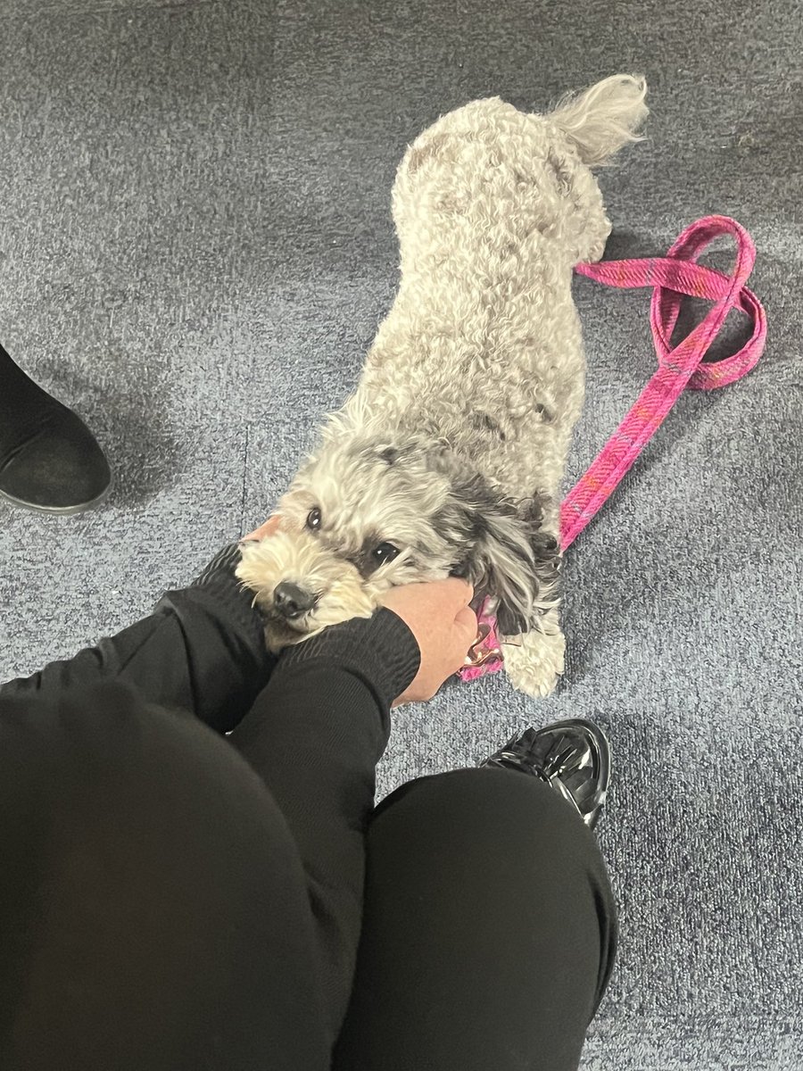 Truffles_999's tweet image. lovely morning with our colleges at @ROCUWM ! Thank you for having us! @OscarKiloNine @WestMidsPCC