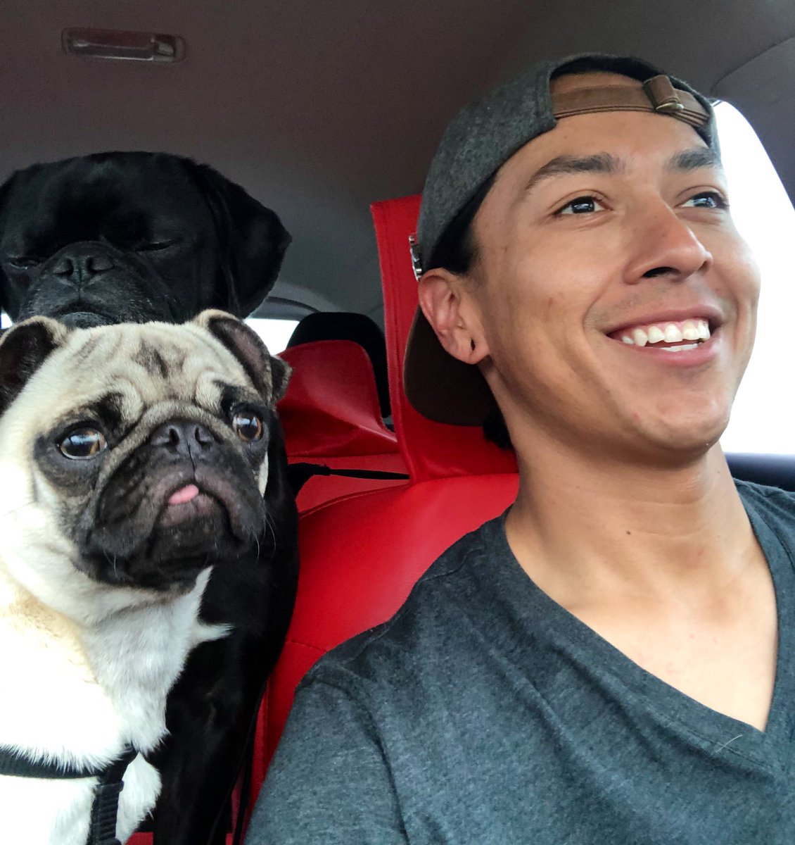 sariahlh's tweet photo. Family makes me the happiest. I am shocked my family went from 3 to 5 in less than a year. I couldn’t be more thankful & overwhelmed. 😅 #midsummernights #july #baseball #pugs #babyboy🩵 https://t.co/yamaNUD0Ww