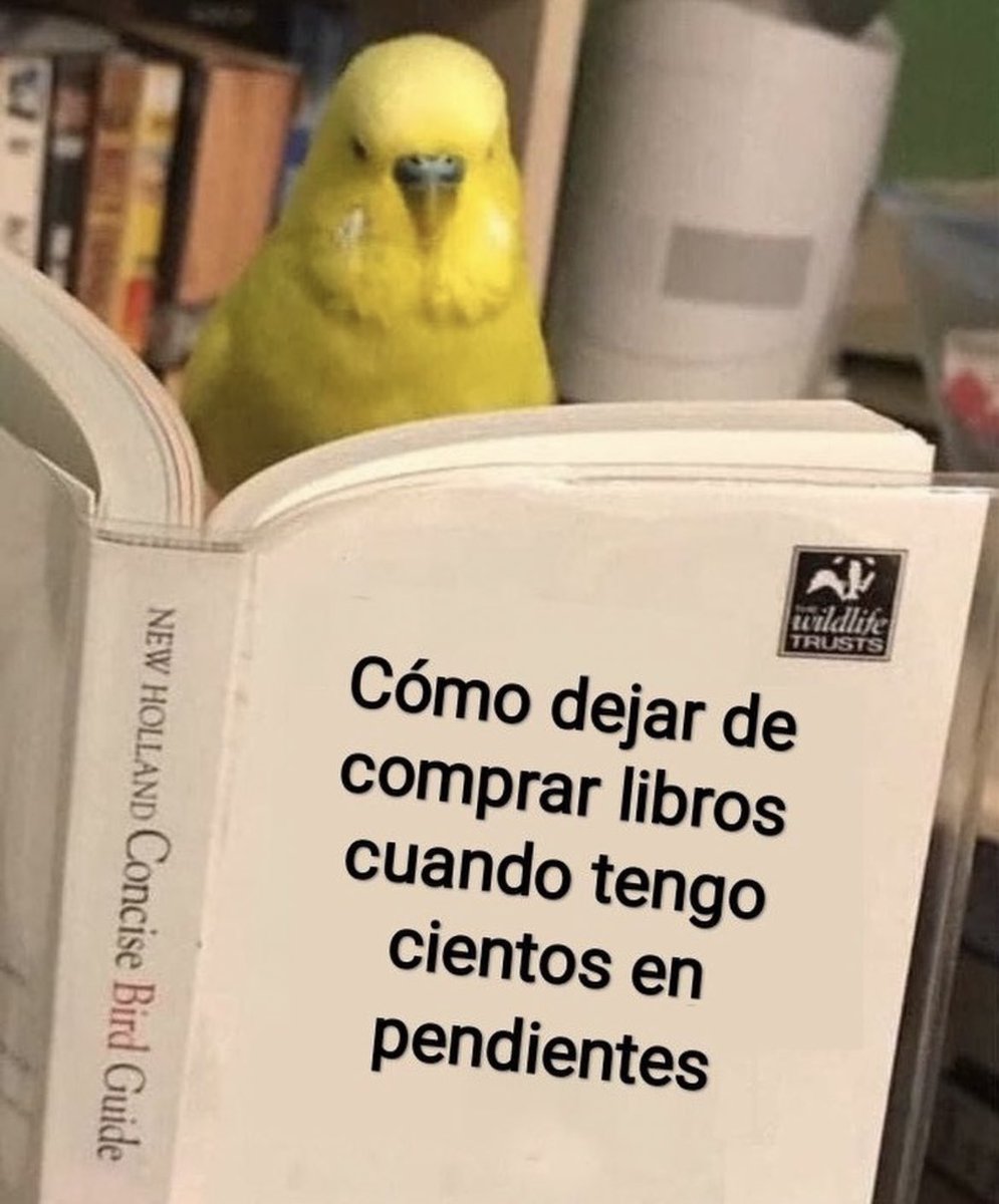 culturaliteral1's tweet photo. https://t.co/Am2nSIhXqv