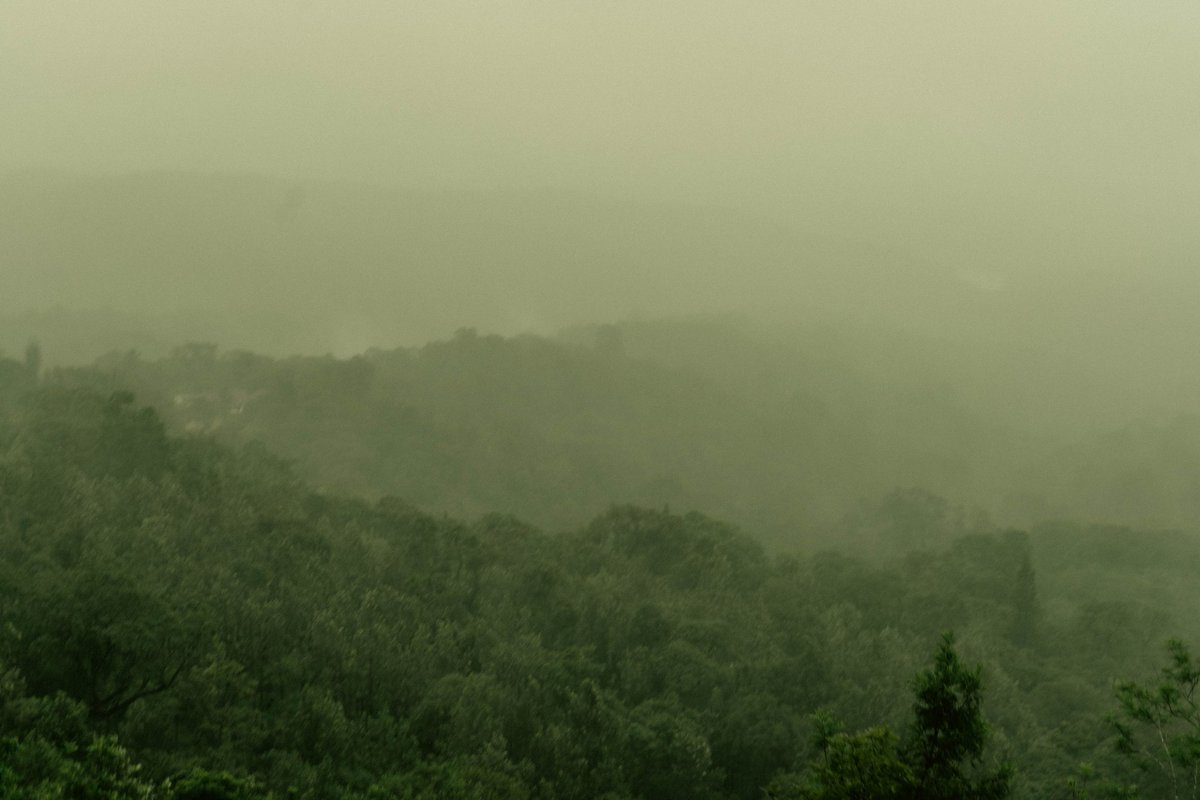 vikascoolkarnir's tweet photo. Exploring the mystical wonders of #BabaBudanGiri amidst the captivating fog and soothing rain. Nature's embrace made this journey truly enchanting.
#NatureUnleashed #MistyMagic #RainyAdventures https://t.co/FdjbmfLpkv