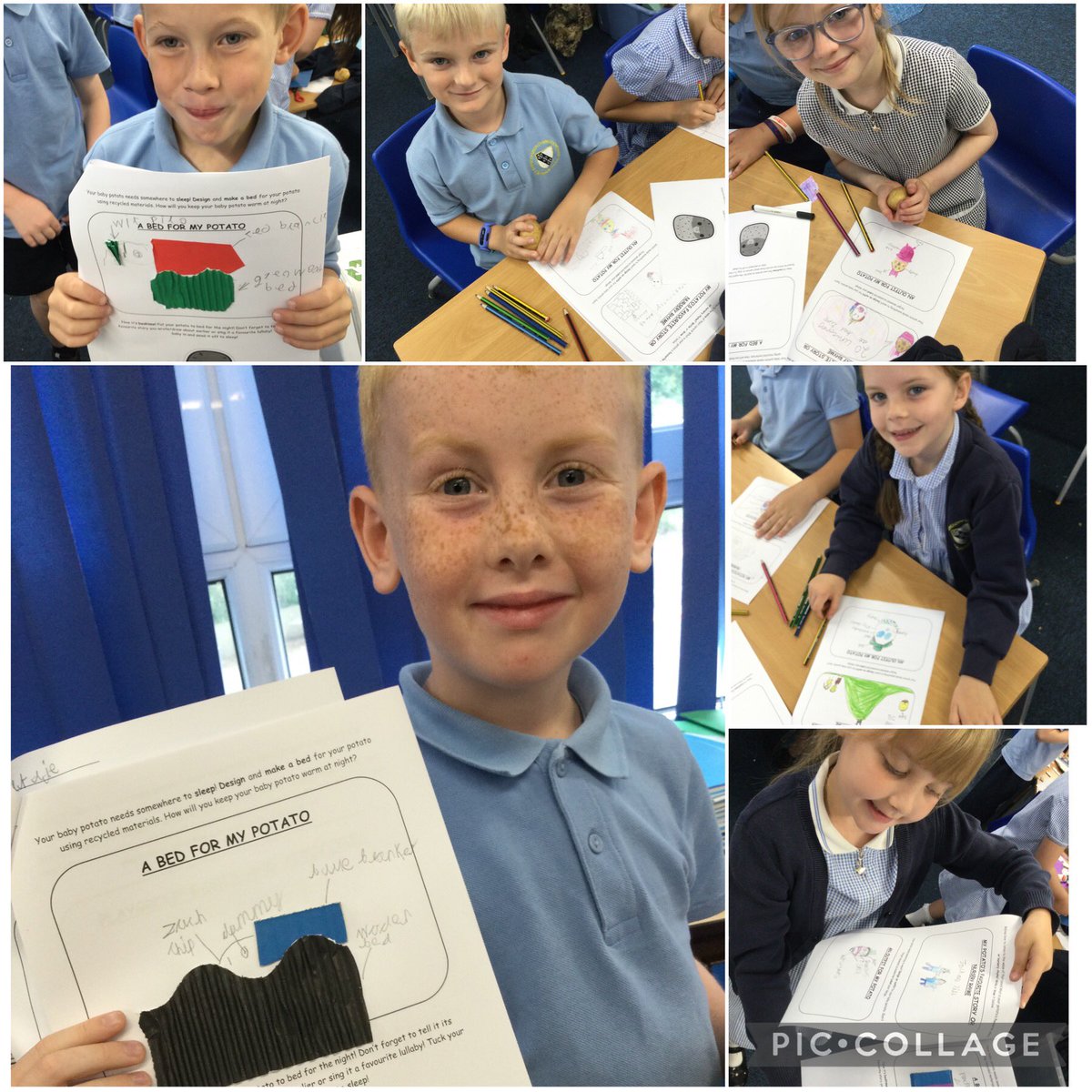 CCCRPrimary's tweet photo. Year 2 have the very important task of caring for a baby potato for the next two days. Children enjoyed naming their baby potato, writing a fact file for their baby potato and designing a bed using recycled materials.
#cccr #cccry2 https://t.co/MQEZO9kYod