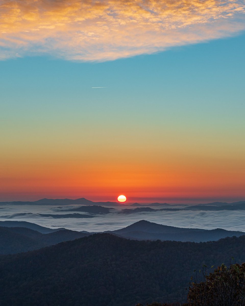 Asheville Pictures tweet media