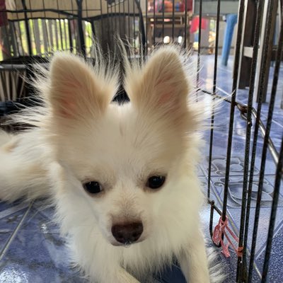 Kasidit3105's tweet photo. #NewProfilePic https://t.co/NAiuxlGYQM