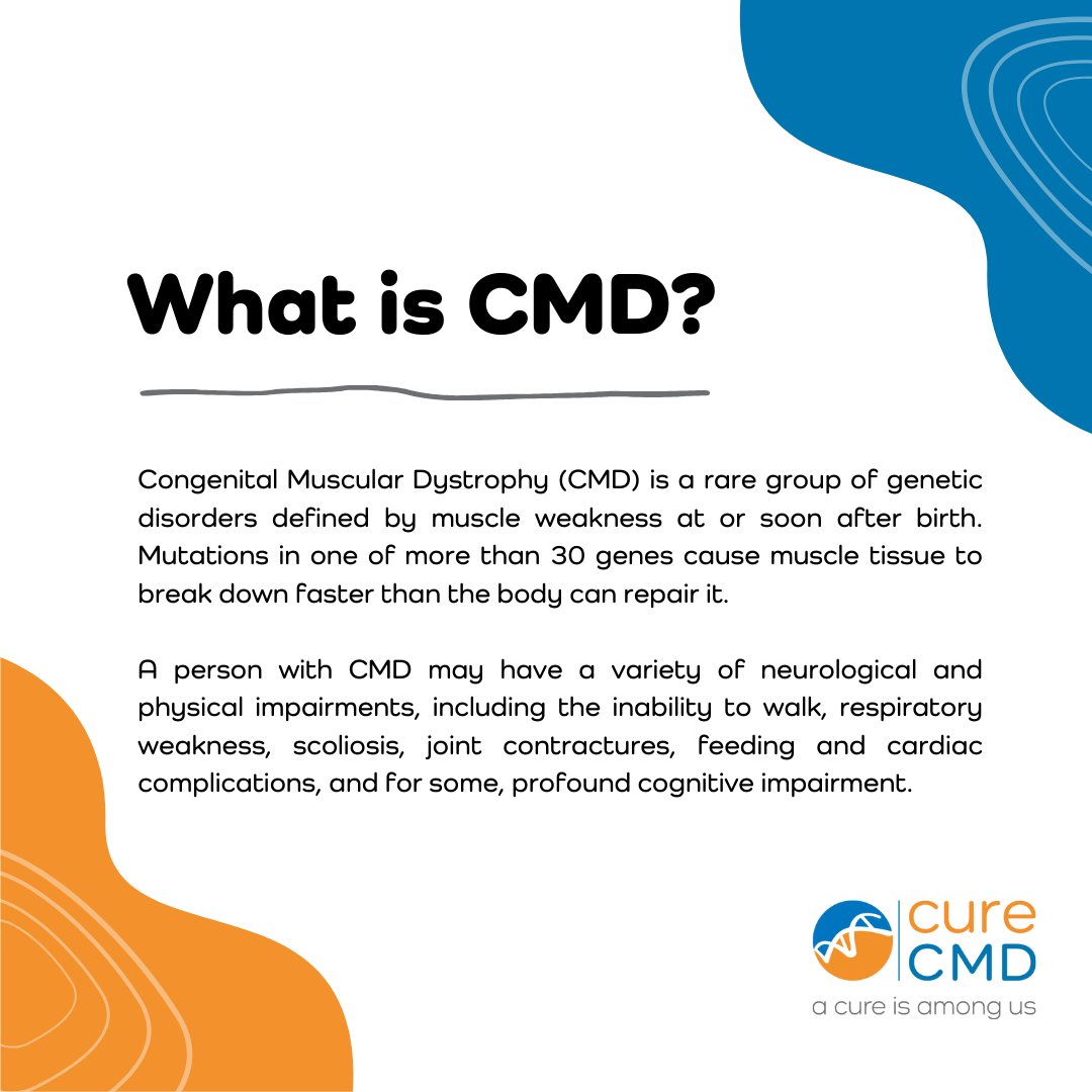 RareRevolutionM's tweet photo. #CongenitalMuscularDystrophy (#CMD) is a group of rare genetic disorders defined by muscle weakness at or soon after birth. The disorder causes muscles to break down faster than they can repair or grow. To date, no treatment or cure is available. #CureCMD #RareDisease @CureCMD https://t.co/kaq9m2PeXm