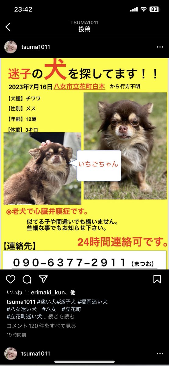 FamWanima's tweet photo. 低浮上なボクです。
地元で迷子犬で出ており、出来る限り捜索に参加しています。
もし、フォロワーさん、この投稿を見られた方で何かしらの情報をお持ちの方は私までご連絡くだされば助かります。
#迷子犬
#妻の爪楊枝 https://t.co/KQlvJ0pNTK