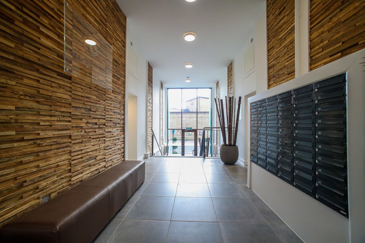 Audrini_Living's tweet image. 🌟 Transform your space with elegance and style using paneling for walls! Discover the beauty and versatility of paneling, from classic designs to modern marvels. #InteriorDesign #WallPaneling #HomeDecor #EleganceAndStyle ➡️shorturl.at/fqLOP