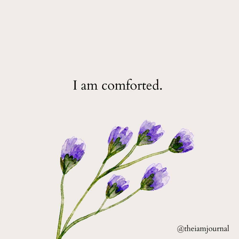 CTaylorRealtor's tweet photo. I am comforted.

I am comforted by my breath.

For it makes me grateful for the present.

I am comforted by my strength.

For I have grown so much in the past... https://t.co/HIybYvkV7C
