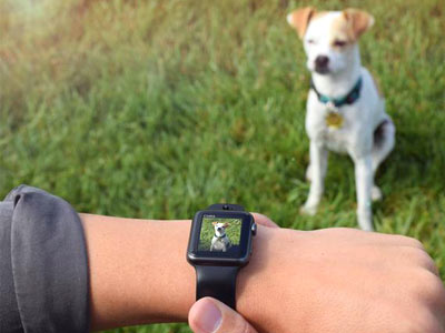 HowTimeNet's tweet image. #applewatch tip: Use the “Music/Now Playing Glance” to take Photos. Use the “Music/Now Playing Glance”. The camera app in the Apple Watch allows you to remote-control and preview your iPhone camera. But how would you take a picture in… howti.me/t/138124 #productivity