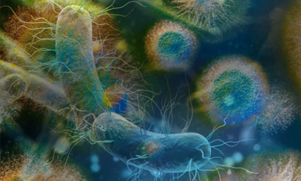 New paper from Zamin Iqbal's group finds that integrating whole genome sequencing into routine clinical surveillance can help us understand the spread of pathogens and antimicrobial resistance at local and national levels.

microbiologyresearch.org/content/journa…