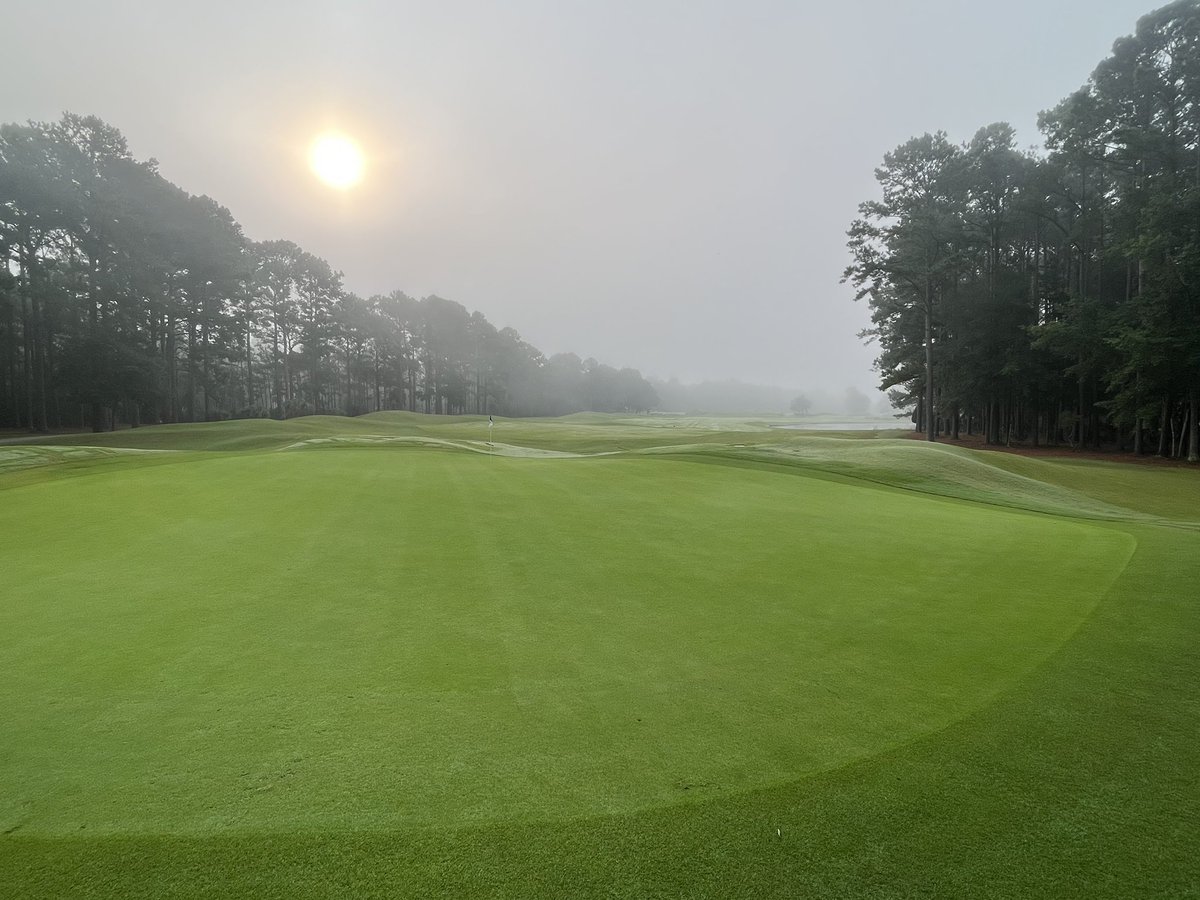 reeebert's tweet image. A little “sawl” spray on this soupy morning!   #harrellssoilspray #floratine #BASF