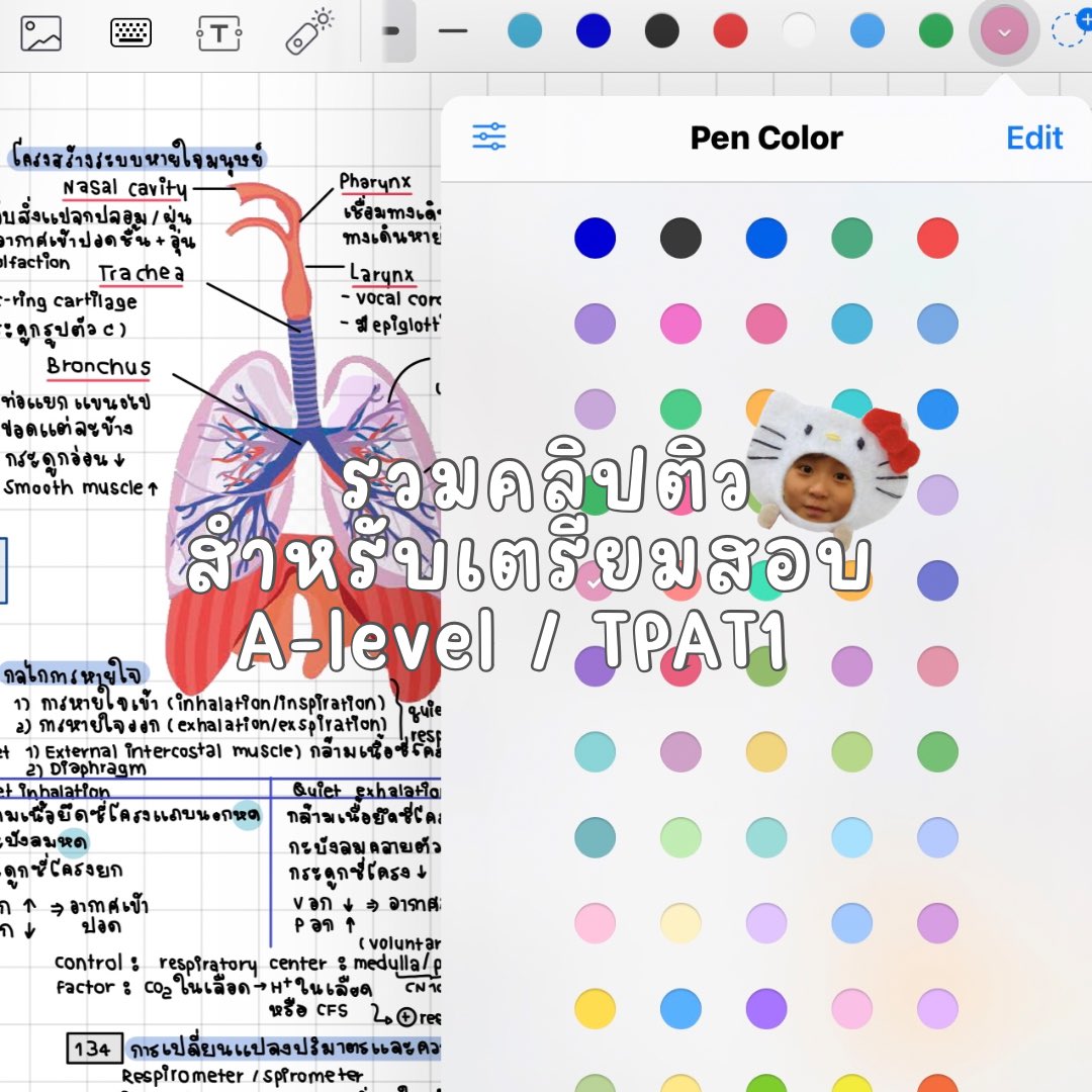 รวมคลิปติวสำหรับเตรียมสอบ 
꒰ 📂 ꒱  : A-level / TPAT1  
( #dek67 #dek68 #dek69 #เด็กซิ่ว )