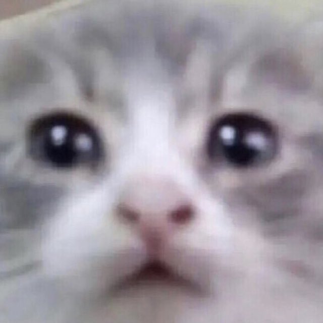 정한 (@jeonghamiyoo_n) on Twitter photo 