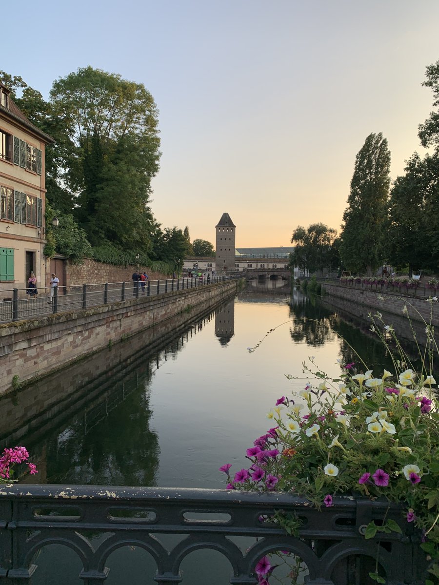 Excited to have a week to nerd out in beautiful <a href="/IHUStrasbourg/">IHU Strasbourg</a> at the #SurgicalDataScience Summer School. Thought provoking talks and great hands-on experiences.