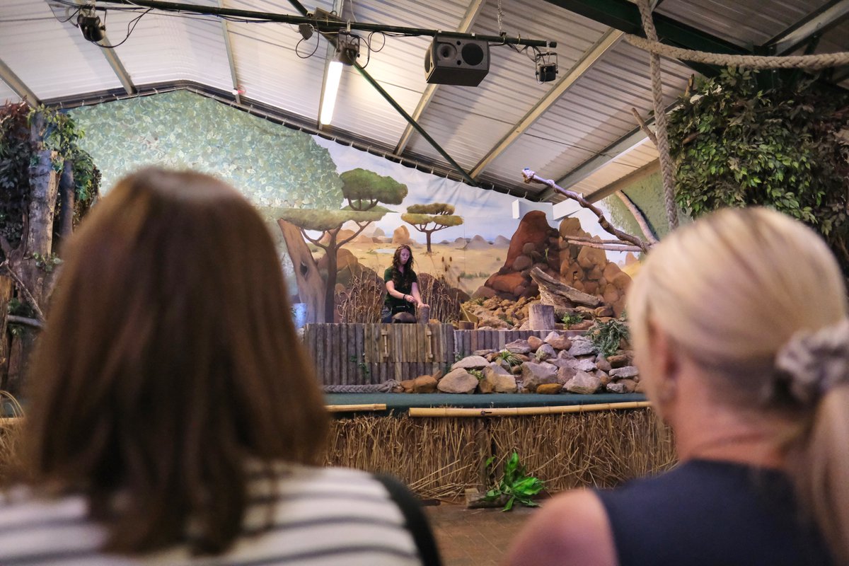 This morning we were joined for Breakfast at the Zoo by the <a href="/norfolkchamber/">Norfolk Chambers of Commerce</a>. 

Our CEO Claudia Roberts gave a guest talk before the group enjoyed a private train ride, where they met some of the stars of our Amazing Animals Show and had the opportunity to feed our giraffes!