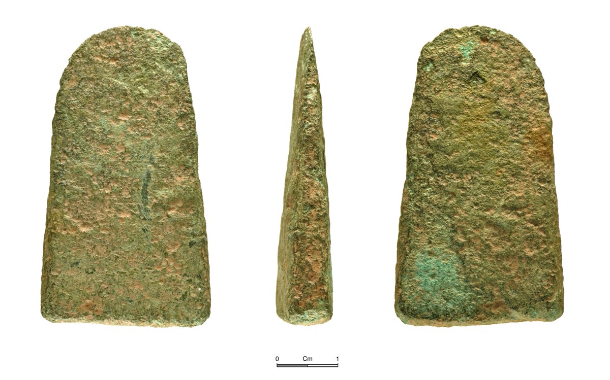 BotBronzeage's tweet photo. BRONZE AGE FLAT AXEHEAD from Powys NMGW-C2EEE6 https://t.co/jUwawe6hC7 #prehistory #bronzeage #findsorguk https://t.co/NiNCGRYW5a