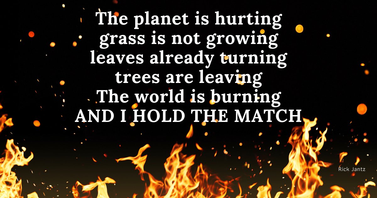 RickJantzWriter's tweet image. 