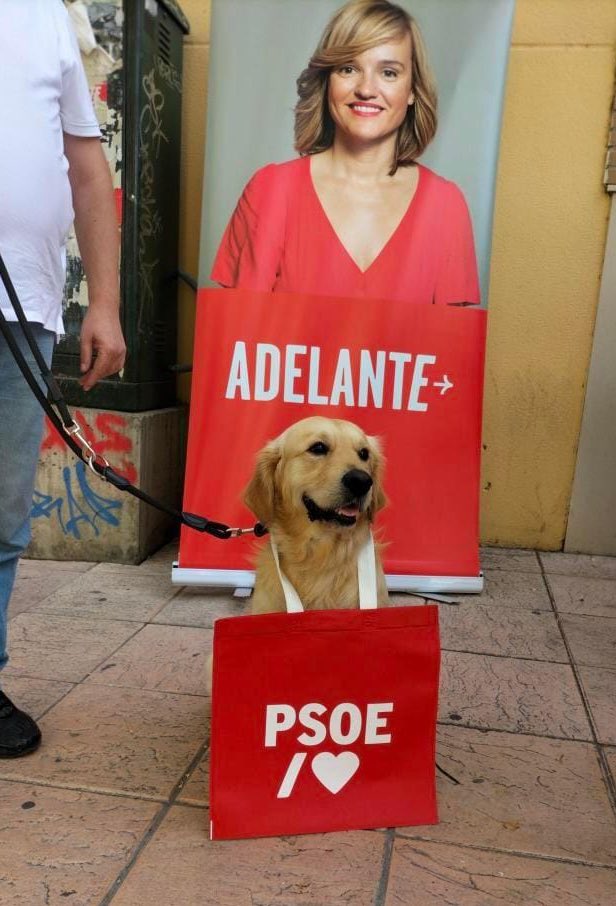 Pilar_Alegria's tweet photo. Todas tenemos un #PerroSanxe ❤️ https://t.co/IOWOsL7bHw