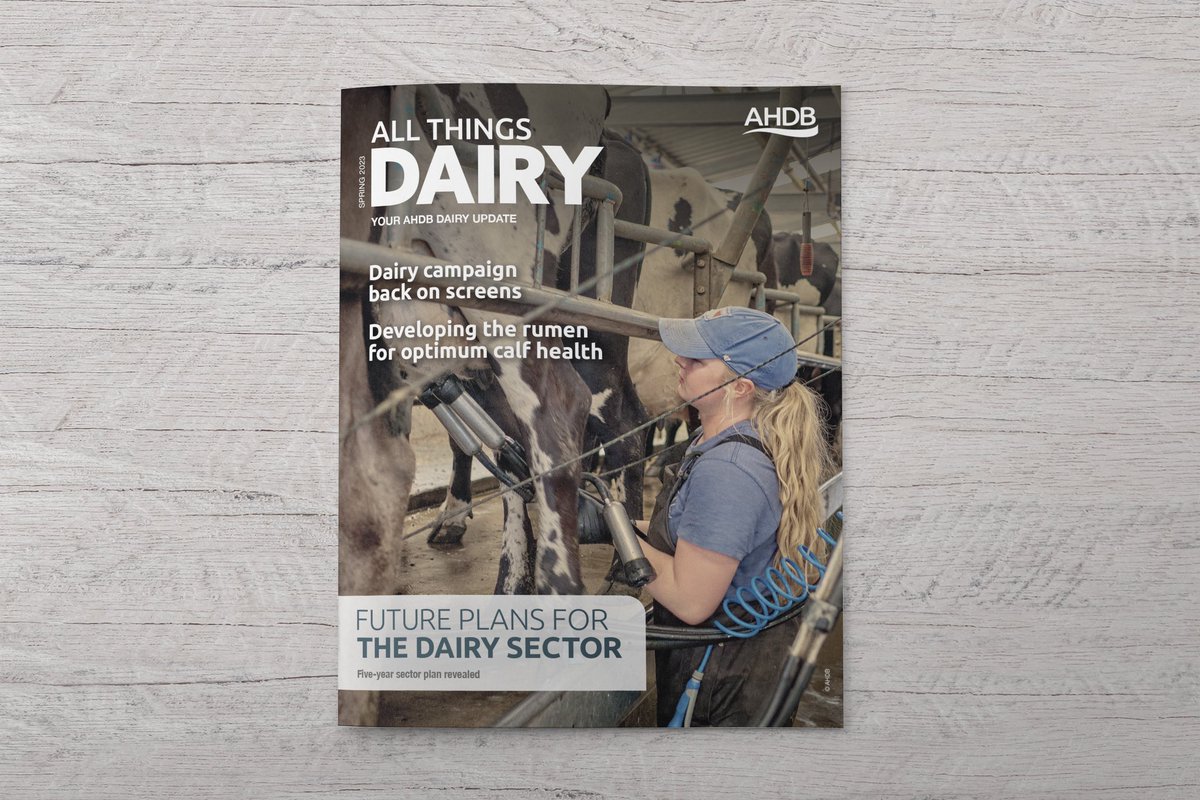 mdte – freelance studio support tweet media